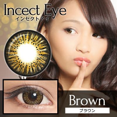 【1年使用/度あり/度なし】Incect Eye（インセクトアイ）＜着色直径15.0mm＞